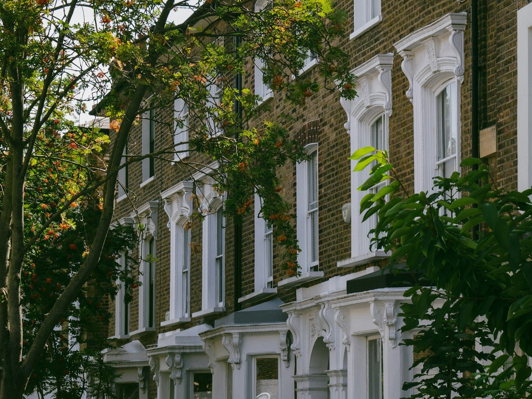 Terraced houses with tree branches reaching close to their upper windows.